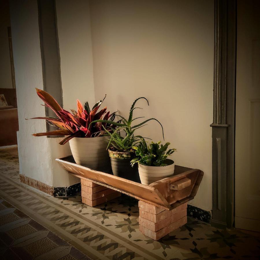 Casa Rural Maribel Santa Amalia Luaran gambar